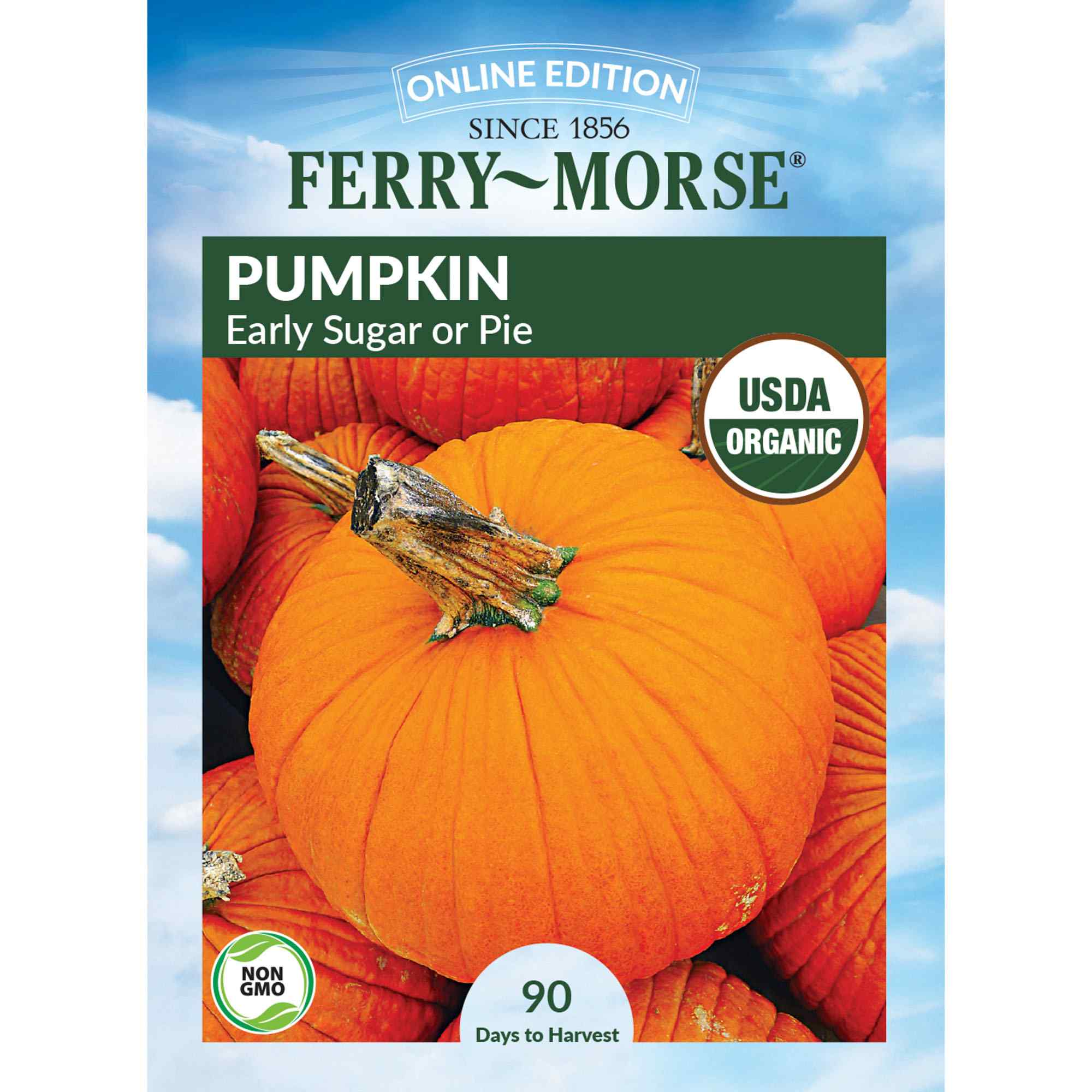 Ferry-Morse pumpkin early sugar or pie seed packet